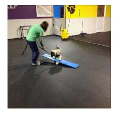 training